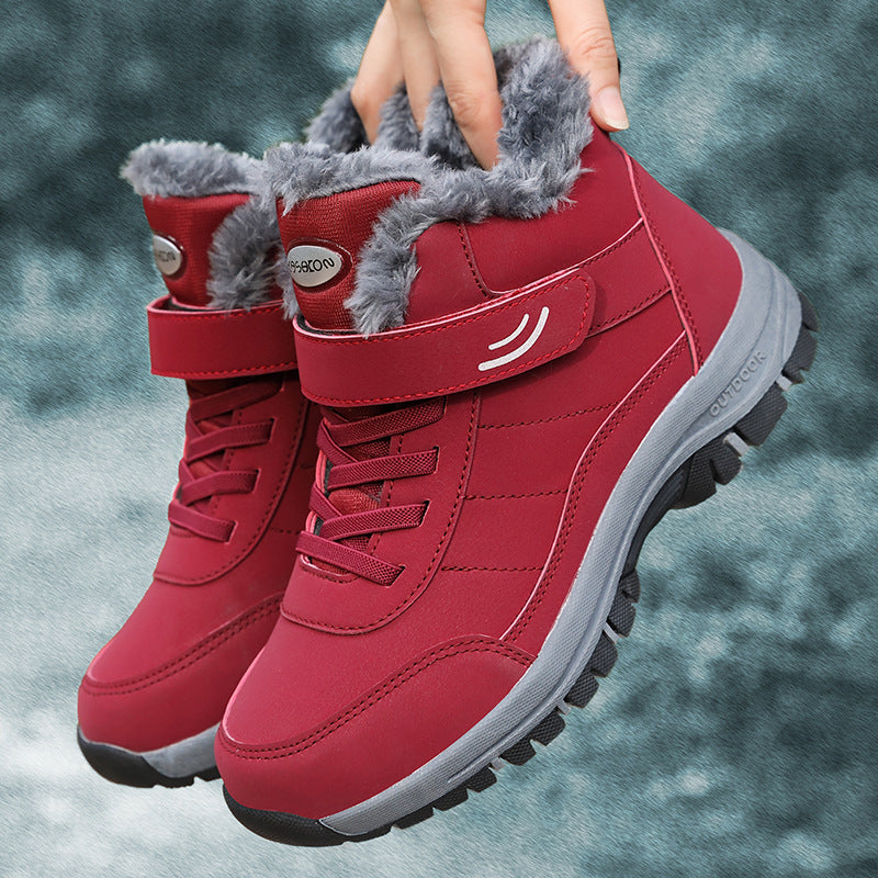 Winter Collection