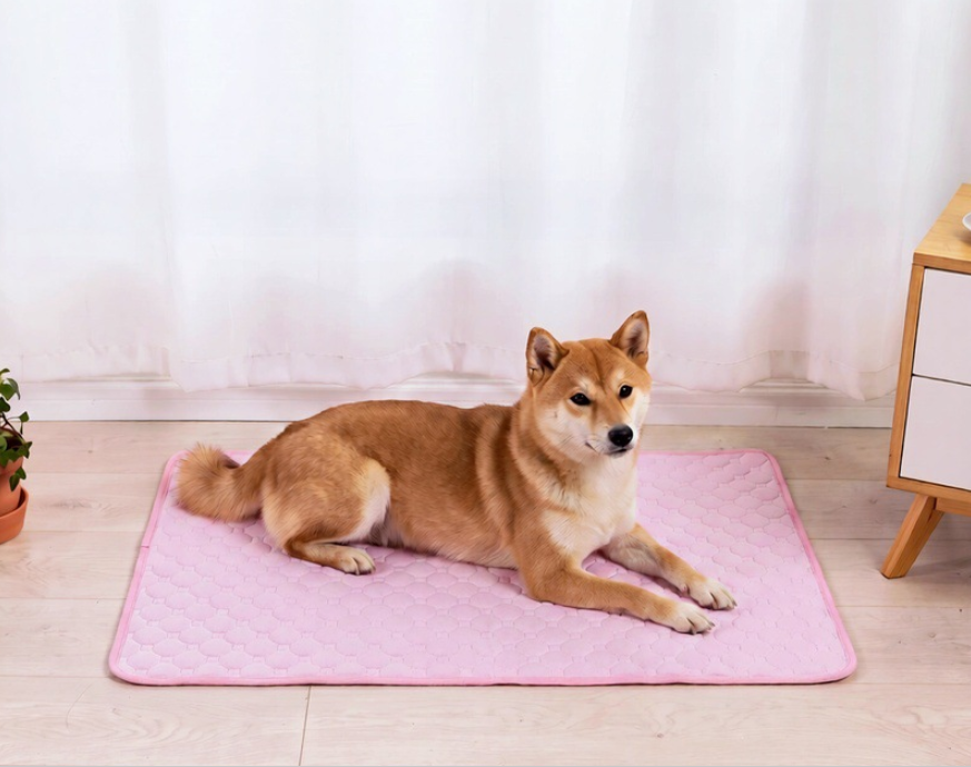 Washable Absorbent Pet Pee Pads for Dogs Cats Rabbits Reusable Nursing Diapers